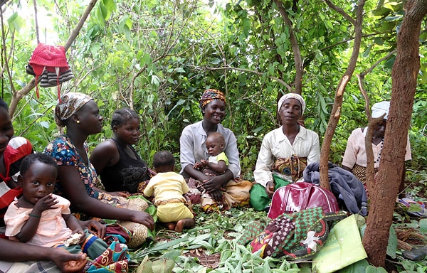 Projecto AGRA – Projecto de Aumento de capacidade dos agricultores de pequena escala e organizações de agricultores para se envolver na produção agrícola sustentável e nos sistemas de marketing nas Províncias de Sofala e Manica em Moçambique
